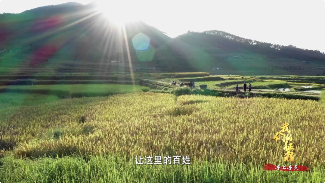  「创造奇迹」中国碗里装满中国粮！看，这片神奇的土地如何创造