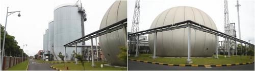 鸡骨头是湿垃圾，多久可降解？记者“堆肥”48小时后，看到的竟是