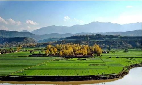  【确权】最新：有关农村土地流转，权威回复来了