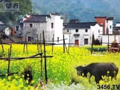 对不起，我要回去当农民了！重磅信号，中国即将实行三权分置！