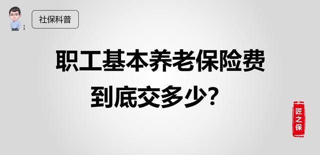 社保养老保险费怎么交，看完这篇你比你们公司的HR都会做工资