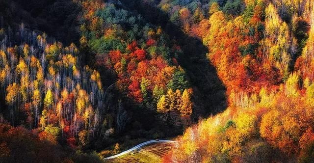 又一个红叶王国！国内这处秘境，有比肩枫叶之国加拿大的醉美秋色