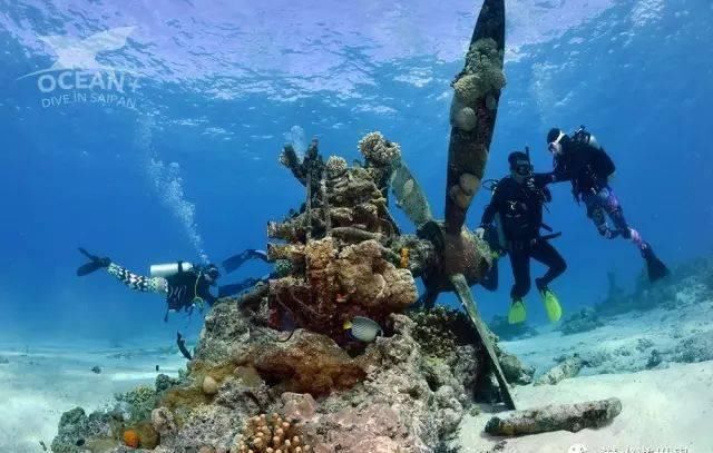 这个唯一免签的美国领土，刚刚缩短了免签停留期！不潜水还等啥呢