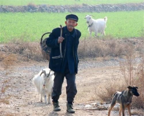  调整|2019年“养老”再调整：国家又发20亿补贴，这三类老人都能