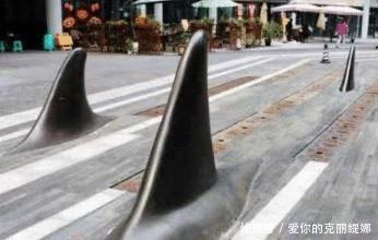 街头突然出现“鲨鱼鳍”，路人拍手称快，司机叫苦连天