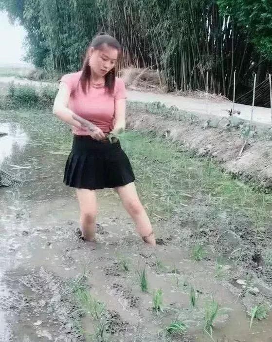 00后小姐姐田间插秧,紧身衣配上超短裙,性感妩媚不食烟火