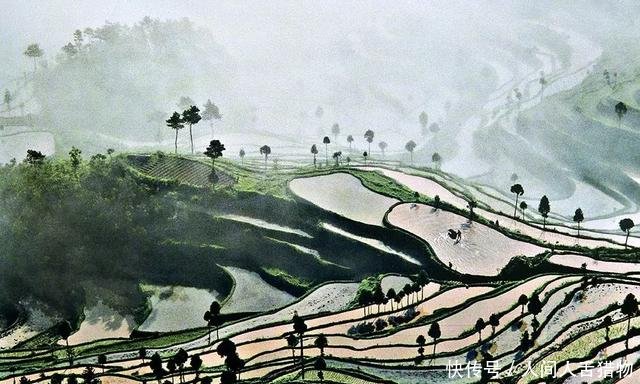 百看不厌，绝版珍藏！三十年前楠溪江畔老照片，张张都是回忆