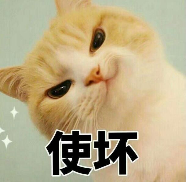  #纵容#猫咪都存在的5个“坏毛病”，主人绝不能纵容！
