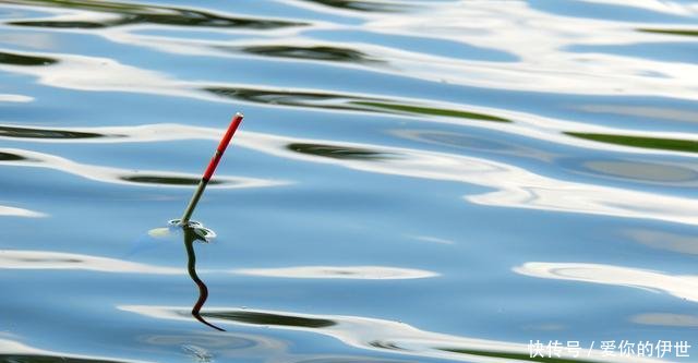  【浮漂产生】辟谣浮漂动就是鱼咬钩不一定，还有可能是这几种情况