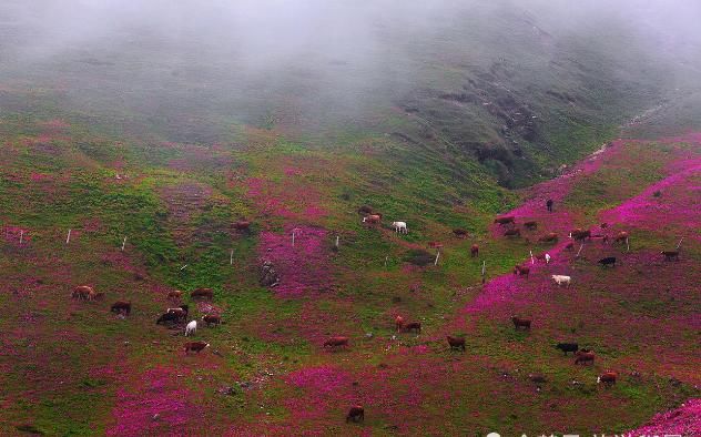 我国最特殊的3个省份，都有2名字，风景优美但很多人都会弄错