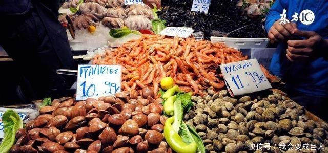 为什么农村年轻人返乡创业都不愿意搞养殖业，而是选择这些行业