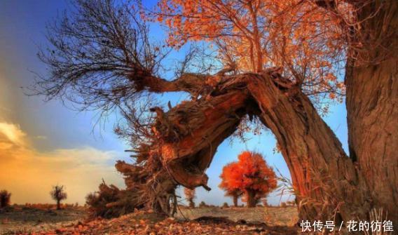 国内最偏僻的村庄,在沙漠的深处,网友:不好找也不敢去