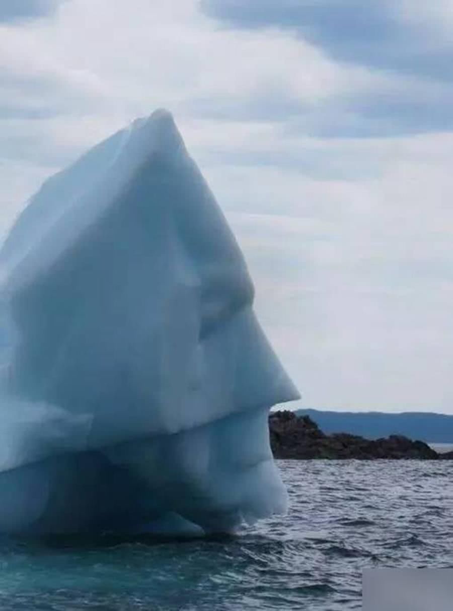 7张没有P过,但“难以置信”的照片,最后一张摄影师拍完选择自杀