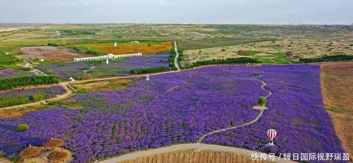  「们中国」此地将成第1个，被中国“消灭”的沙漠，黄河年输沙量