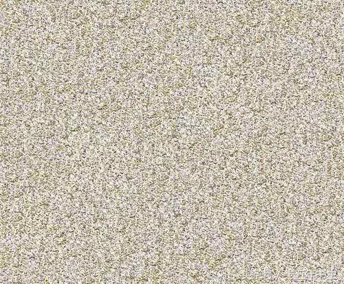 垃圾组成的画作！身为人类，我们能配得上地球的美景吗？