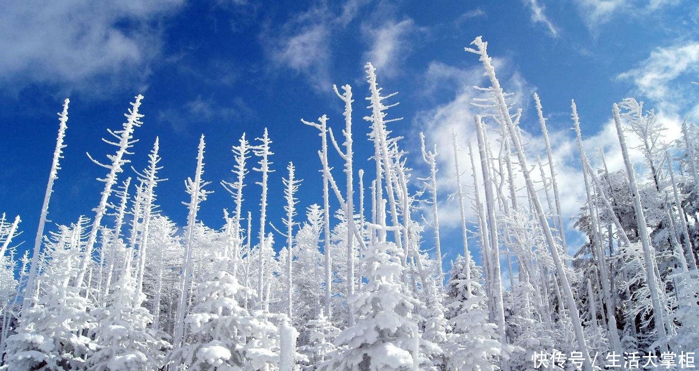 为什么你拍摄的雪景又黑又灰？别错过这个雪景拍摄方法，单反摄影