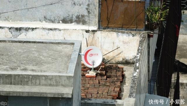 农村装卫星电视锅要罚5000, 老农反问专家4个问题说出了农民心声