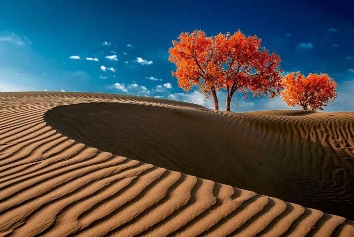 干涸成“地球巨耳” 罗布泊发生过什么