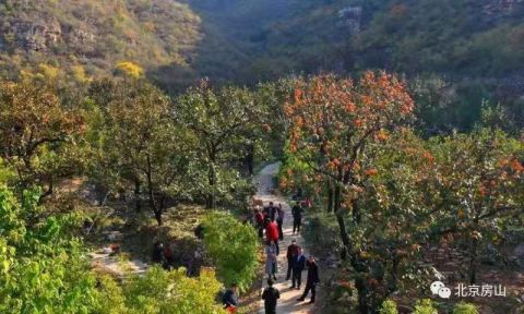  「考核」北京市首个“美丽乡村”标准化试点通过考核验收