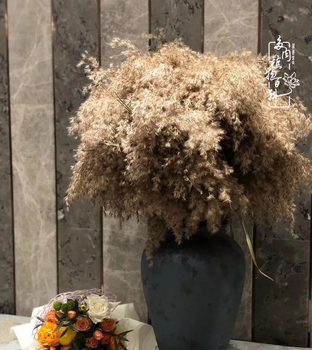  「院里」在茜的多肉小院里,花时间种快乐!