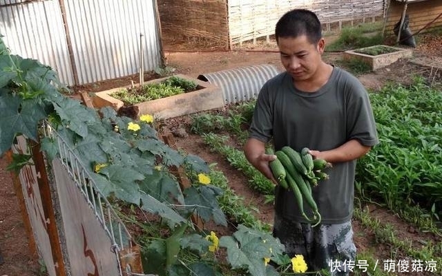  非洲地区：非洲为什么没人种地？因为没有中国人在这里，非洲人