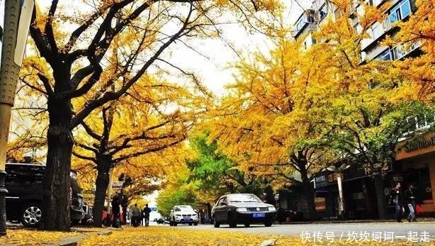 国庆不用远走，东北这10个地方的秋景全国都羡慕