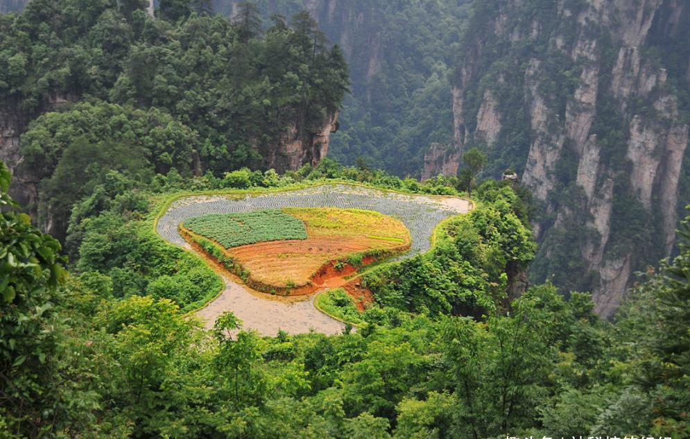 祖辈们在山峰顶部开垦“史上最牛的一块耕地”,吸引无数游人