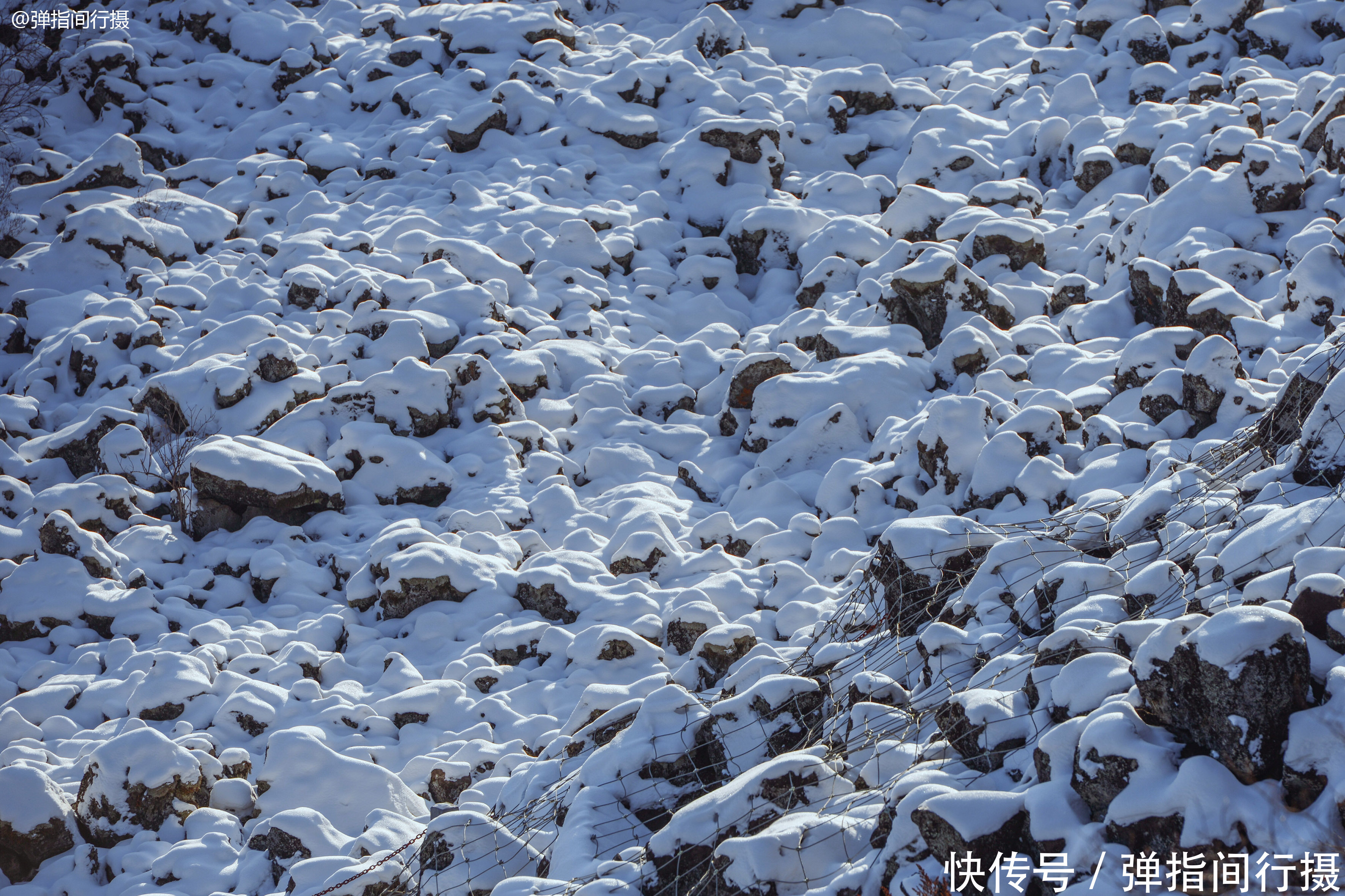 第一次在东北看到这种诡异雪景，你看像什么？南方游客：挺吓人