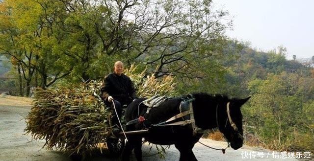 河南最古老的“中国传统村落”，当地人柴火烧饭，骑驴车出行