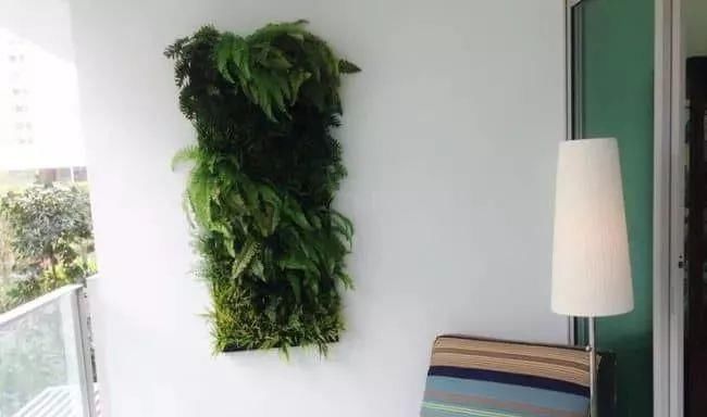  布置了一|梦幻般的阳台垂直盆栽花园, 没啥空间也能养很多花