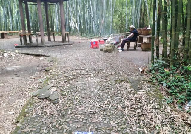 探访：广东怀集“世外桃源景区”，原来这里早已荒弃