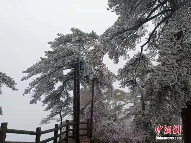 五百里黄山迎大面积雾凇景观 宛如琉璃世界