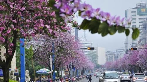  「桂林」广西最会赚钱的城市，不是南宁也不是桂林，它可是你的