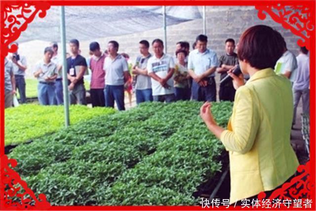  [经济]当前在农村能月收入一万元的人，都在做些什么工作呢？这