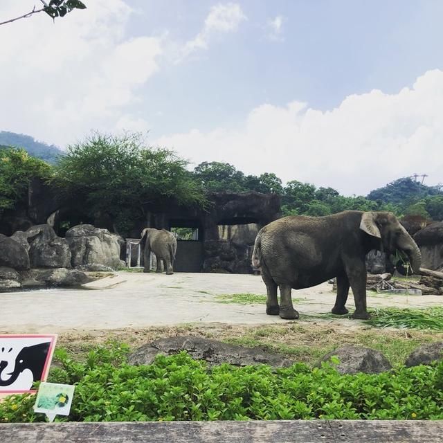带娃看世界之台北-九份-花莲-台北七日游