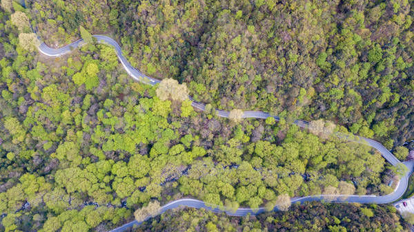 安徽大山深处的5A景区,一脚跨两省,被称为华东最后一片原始森林