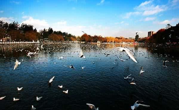 云南秋冬旅游攻略：不走这些线路，就枉来云南了！