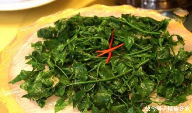 农村这种野草，炖鱼汤经常用到，功能齐全价格高达240元