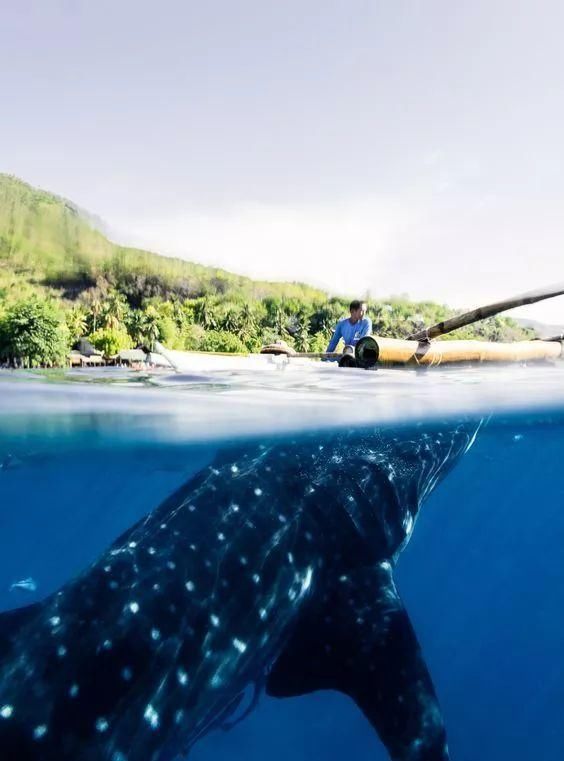 美图赏析丨极其罕见的万年奇观照，每一张都是世界级顶尖照片