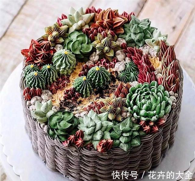 技巧|阳台养多肉专用技巧,只要5招,阳台也能养出极品多肉