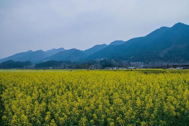  「贵州」贵州，活该你上热搜！