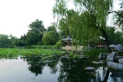 盘点国内“最美”的4所大学，不输5A景区，你最喜欢哪所？