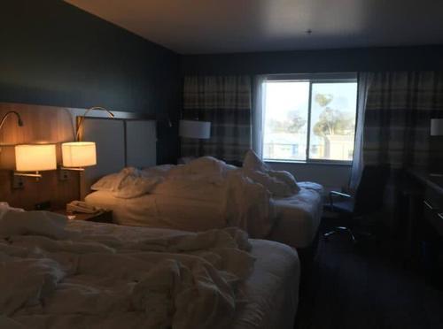 为啥日本的酒店退房时从不查房？对比完中国酒店之后，你就明白了