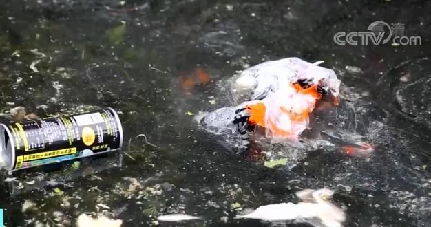 通往阳澄湖小河散发恶臭 阳澄湖美食美景背后污染问题调查