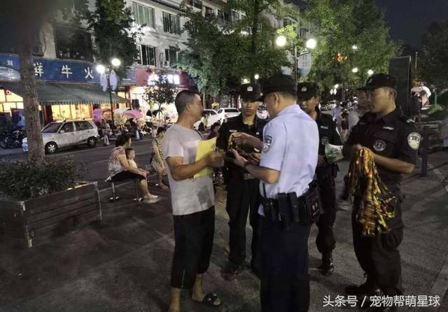 在有人教唆投毒，制造恐慌后，成都警方是这样做的，大赞！