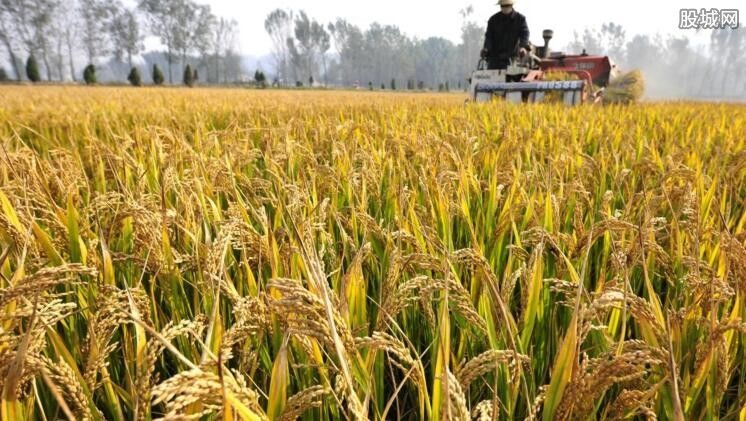 2019地补还有吗 粮食补贴每亩多少钱?