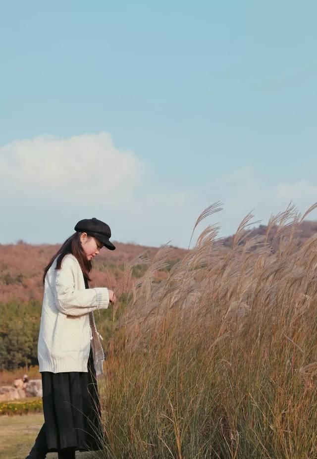 最适合发呆、晒太阳、撸猫的日子,大约在冬季