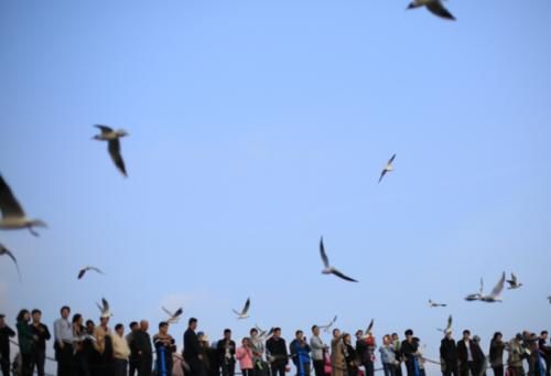 实拍山东青岛：韩国人最喜欢的中国城市，10万人在此地生活