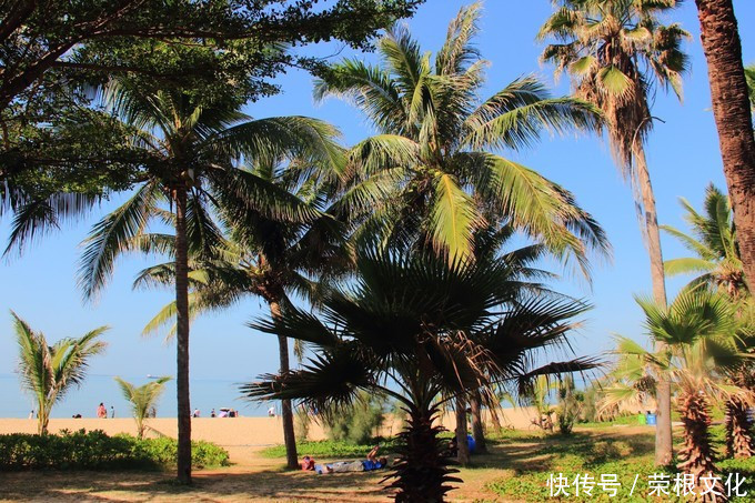 因大海到三亚，爱上大海