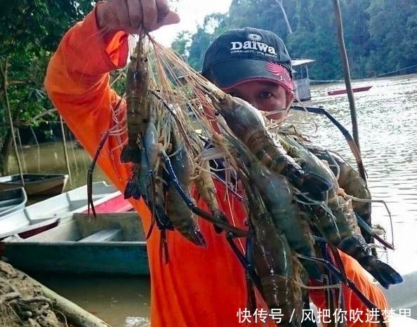 湄公河大虾泛滥，为何中国吃货不敢“下嘴”？导游：多得让人疑虑